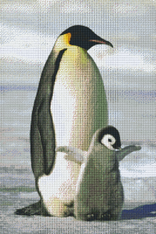 Pinguins Thirty [30] Baseplate PixelHobby Mini-mosaic Art Kit